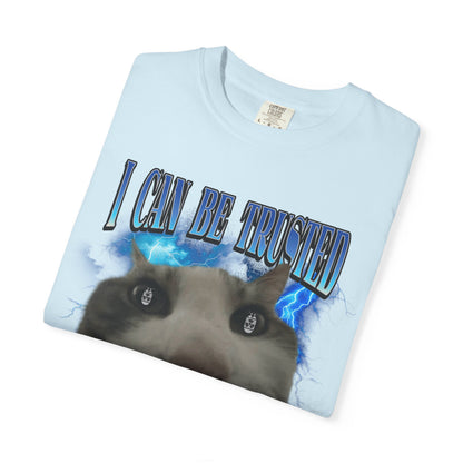 I Can Be Trusted With Nuclear Codes T‑Shirt