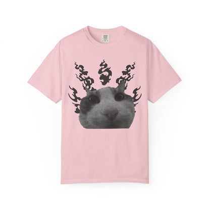 Cat In Flames 1 T‑Shirt