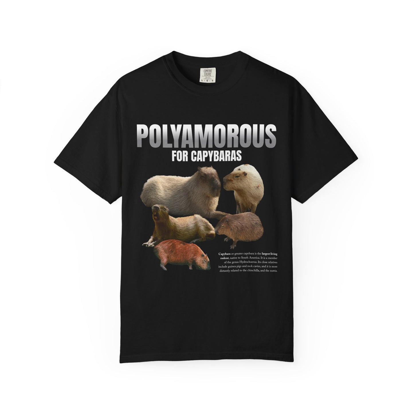 Polyamorous For Capybaras T‑Shirt