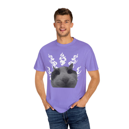 Cat In Flames 1 T‑Shirt