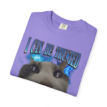 I Can Be Trusted With Nuclear Codes T‑Shirt