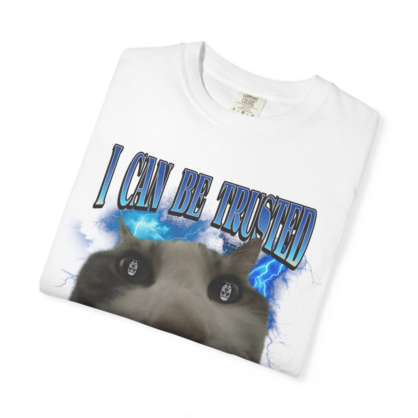 I Can Be Trusted With Nuclear Codes T‑Shirt