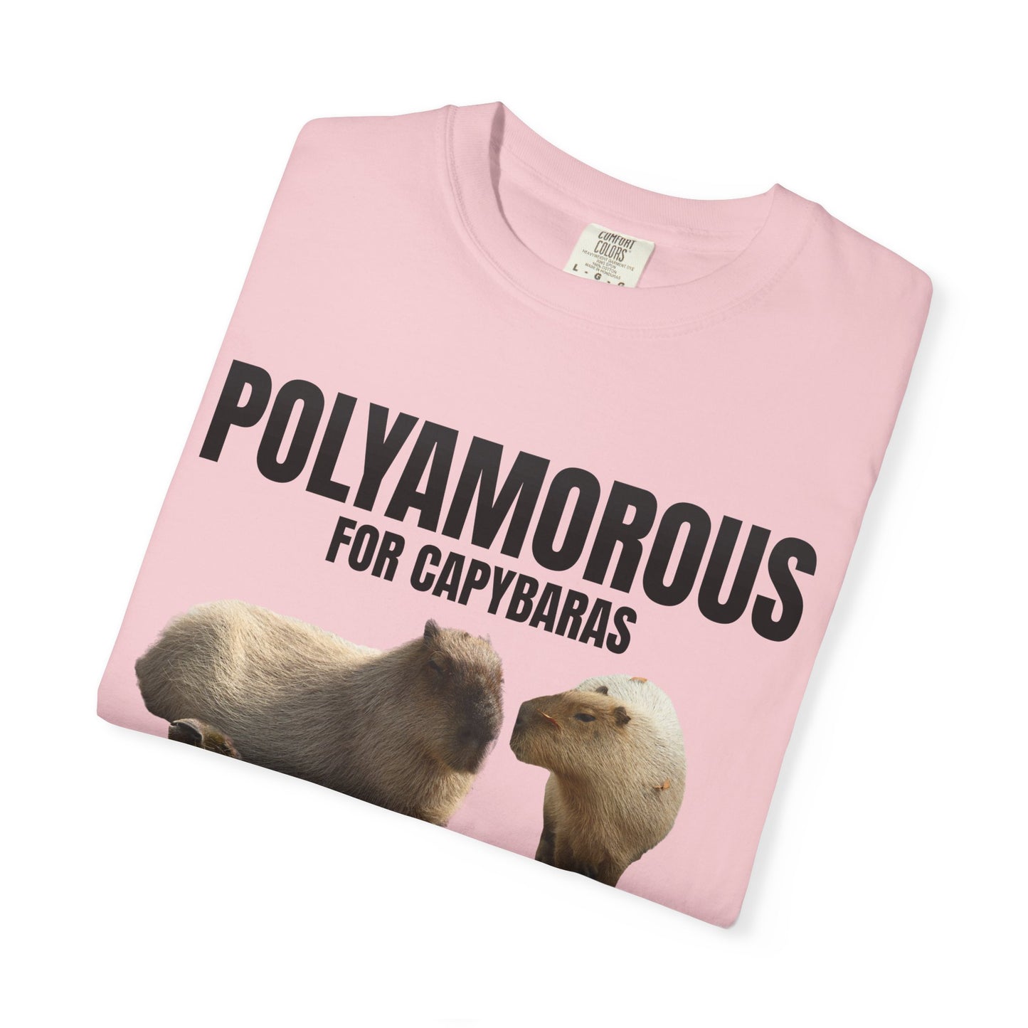 Polyamorous For Capybaras T‑Shirt