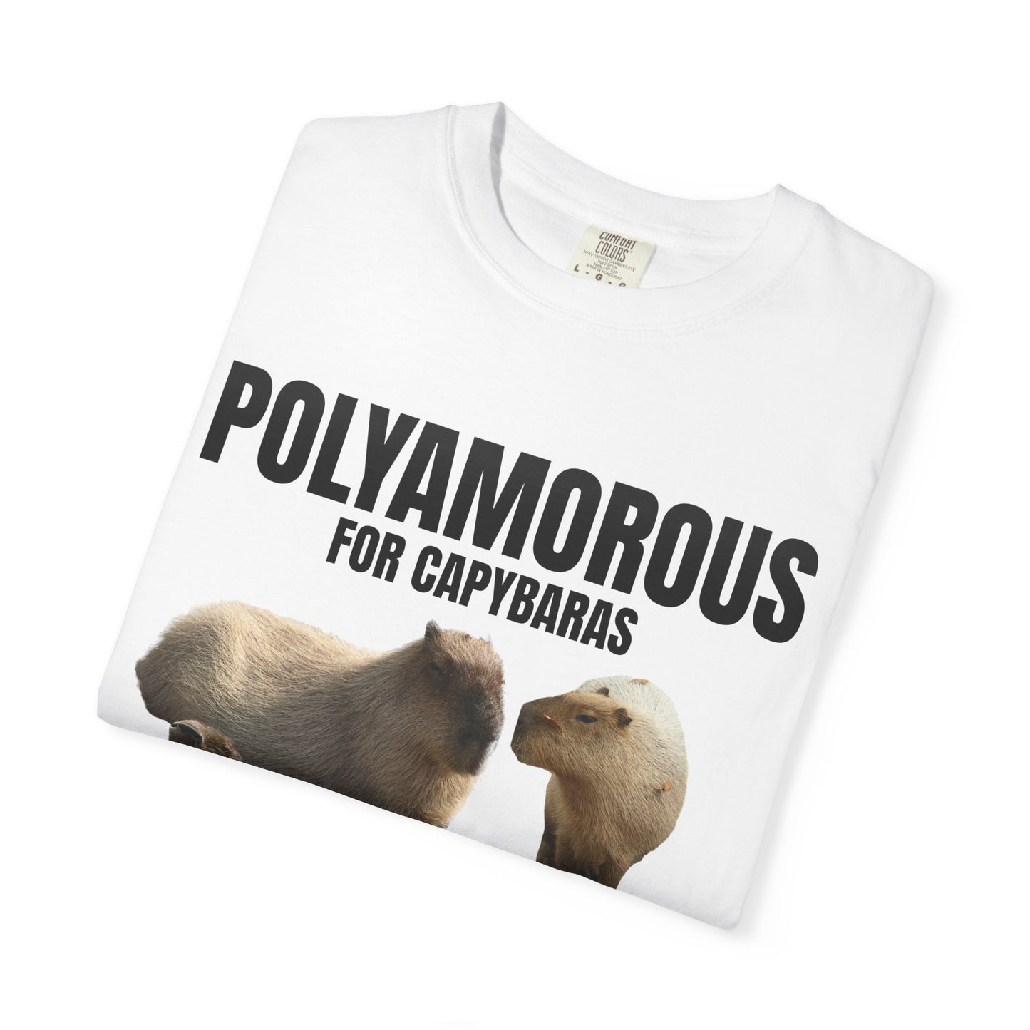 Polyamorous For Capybaras T‑Shirt
