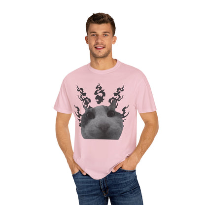 Cat In Flames 1 T‑Shirt