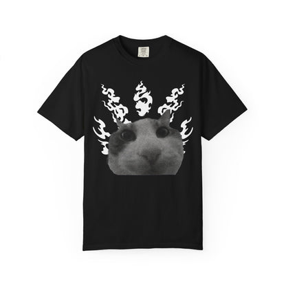 Cat In Flames 1 T‑Shirt