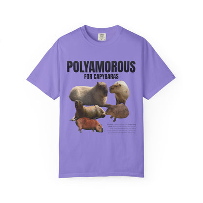 Polyamorous For Capybaras T‑Shirt