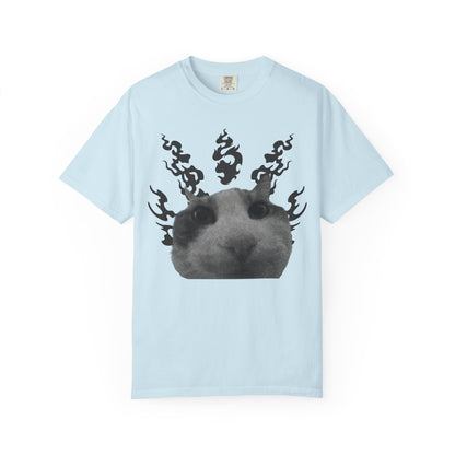 Cat In Flames 1 T‑Shirt