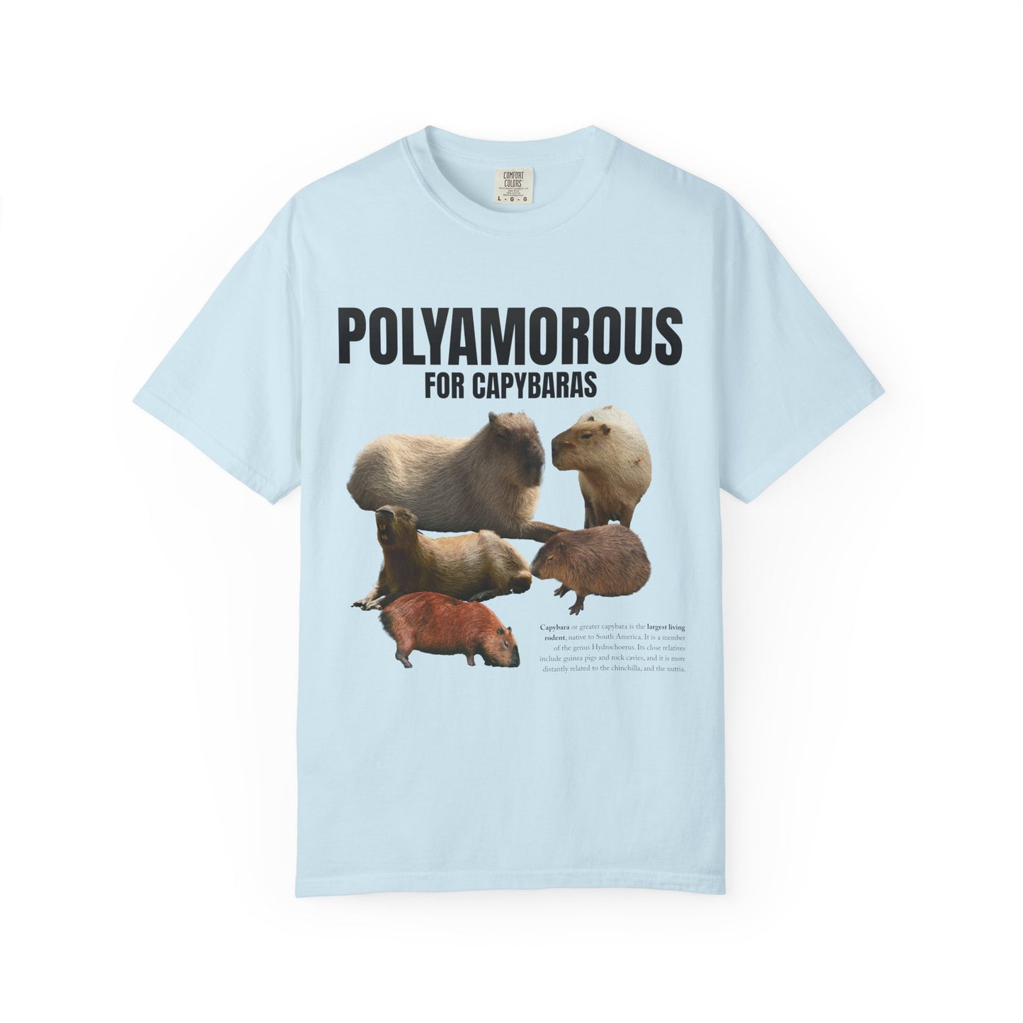 Polyamorous For Capybaras T‑Shirt