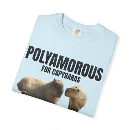 Polyamorous For Capybaras T‑Shirt
