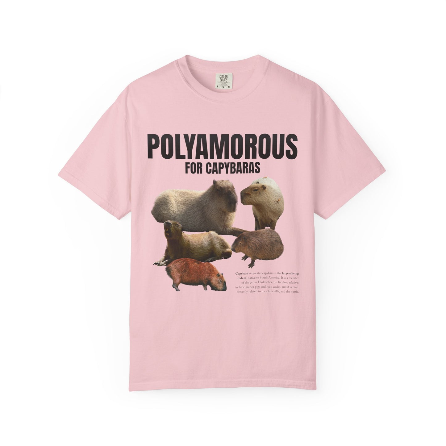 Polyamorous For Capybaras T‑Shirt