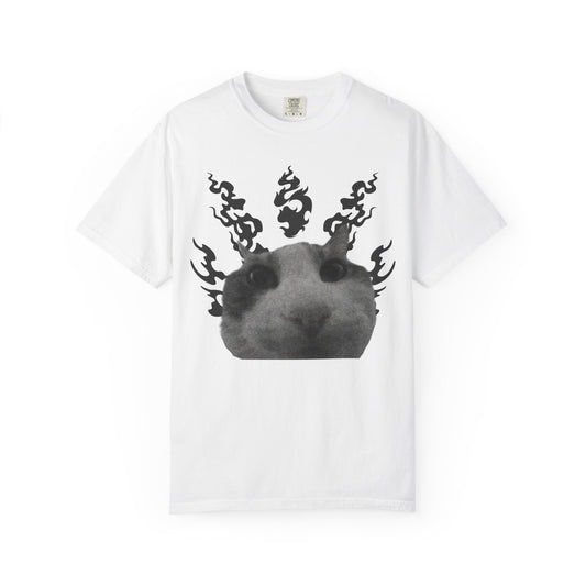 Cat In Flames 1 T‑Shirt