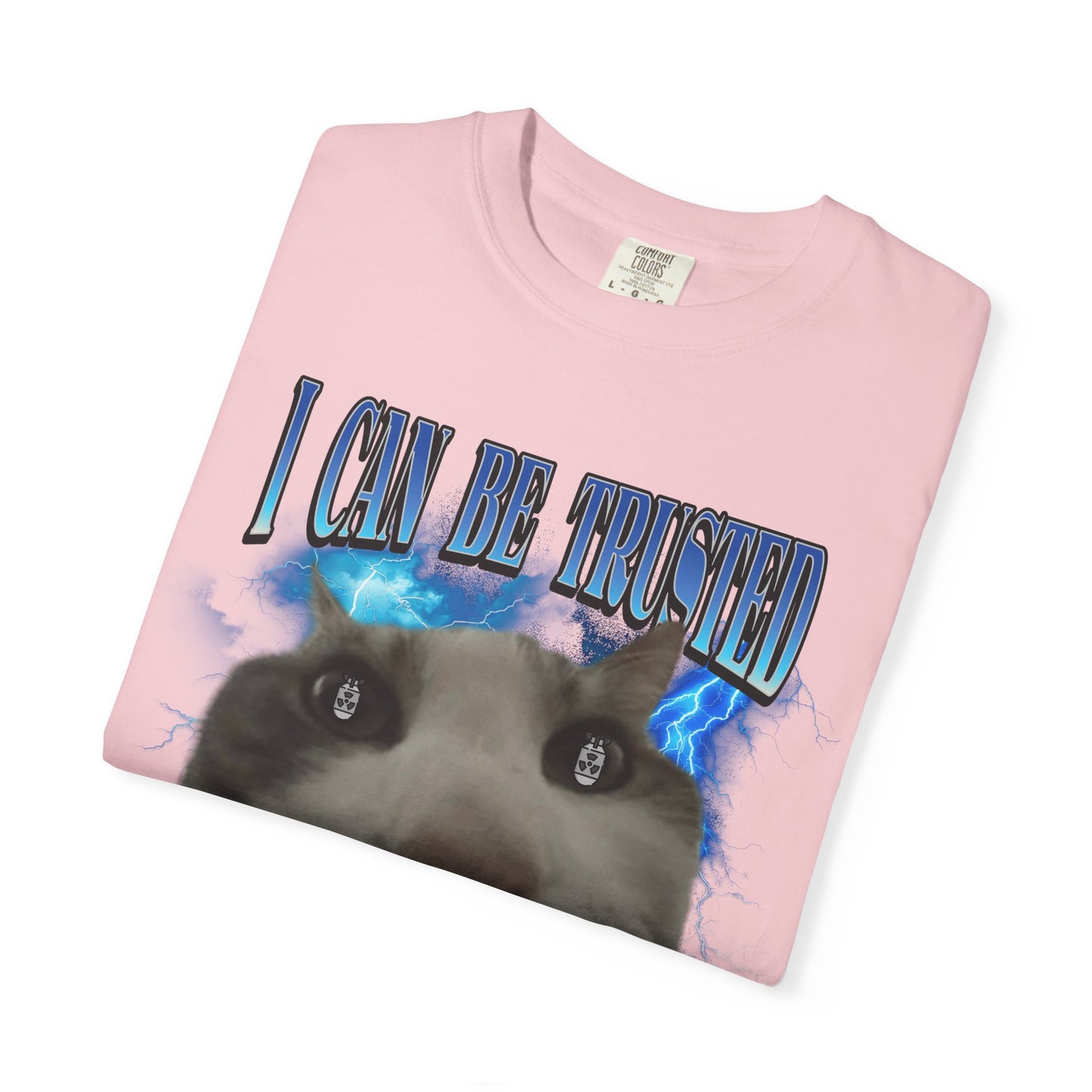 I Can Be Trusted With Nuclear Codes T‑Shirt