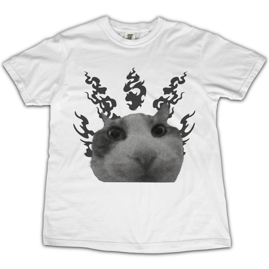 Cat In Flames 1 T‑Shirt - Punk For Pickles