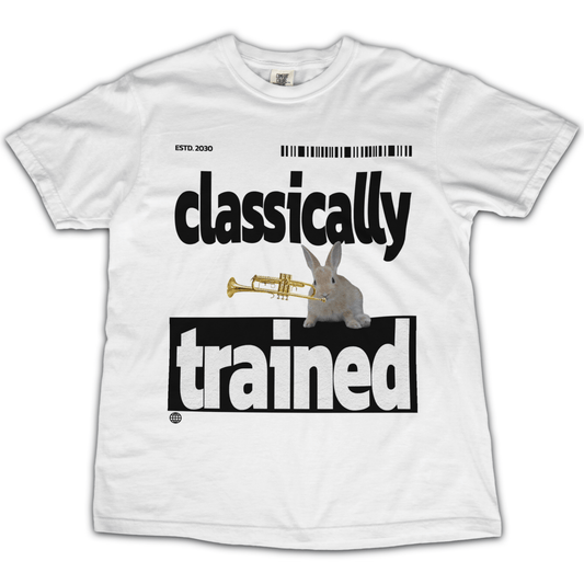 Classically Trained Bunny T‑Shirt - Punk For Pickles